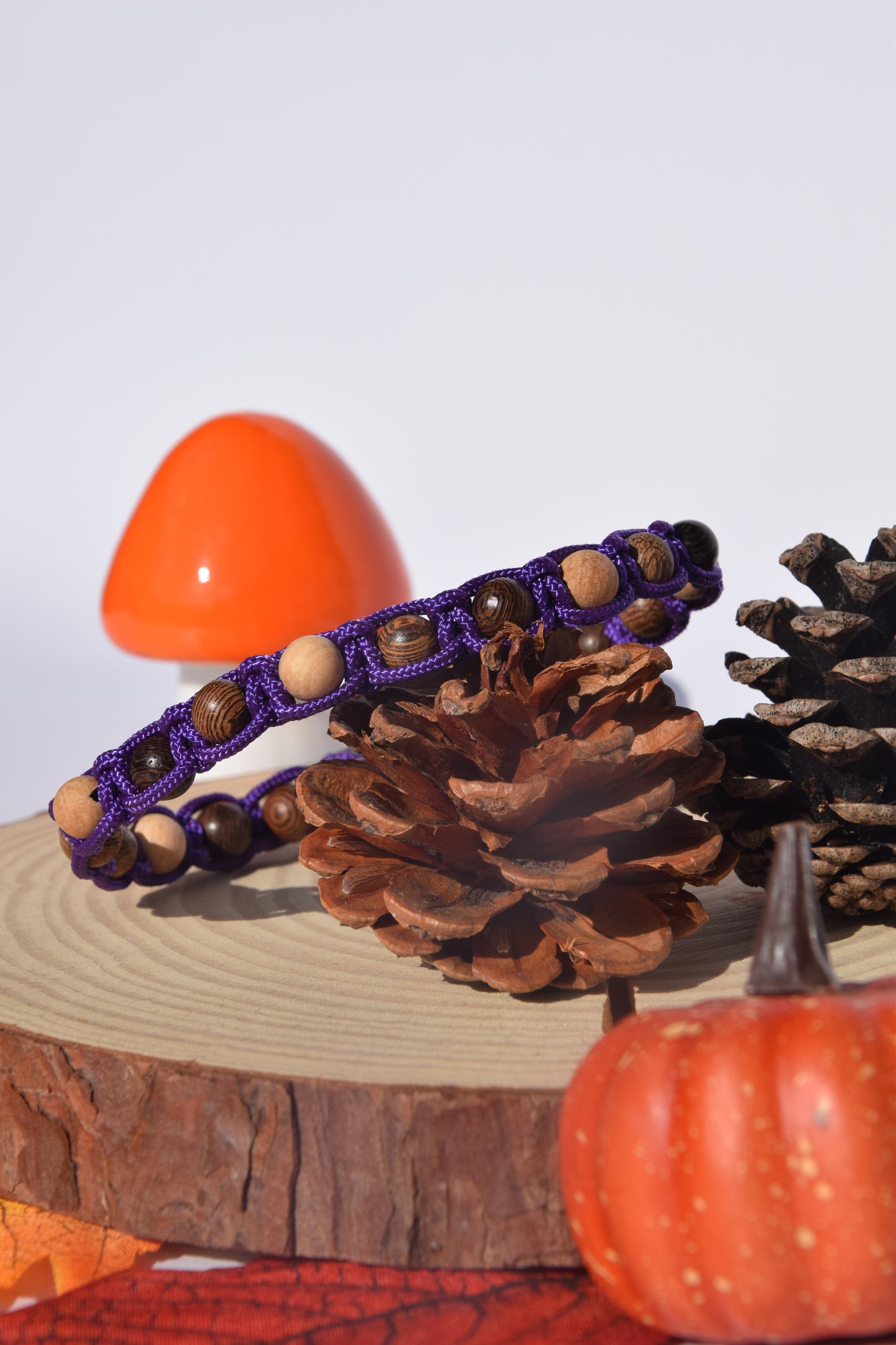 Collier Automne Chat 🐱