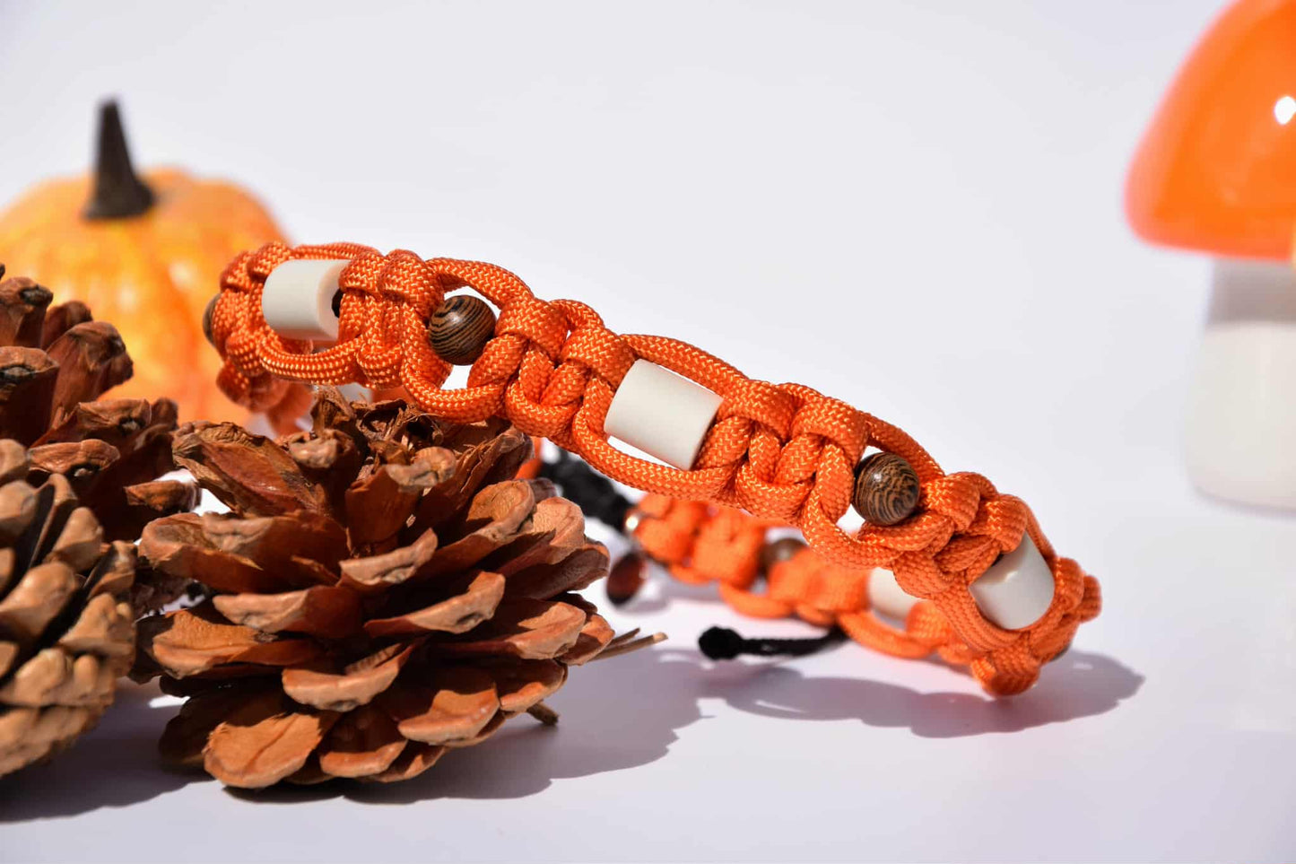 Anti tiques Automne 🍁🍂