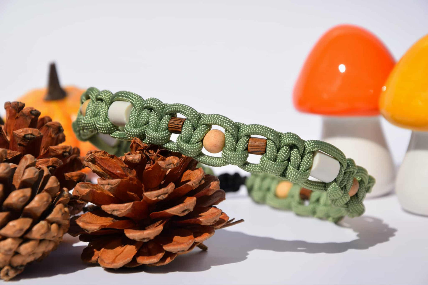 Anti tiques Automne 🍁🍂