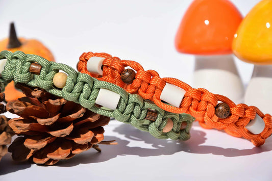 Anti tiques Automne 🍁🍂