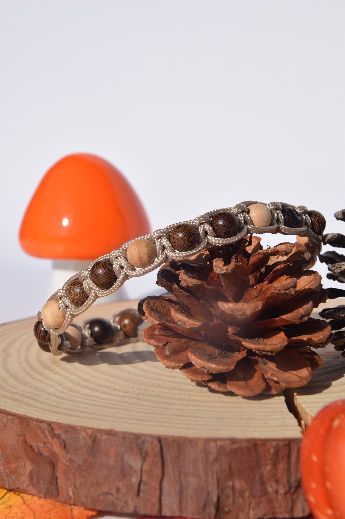 Collier Automne Chat 🐱