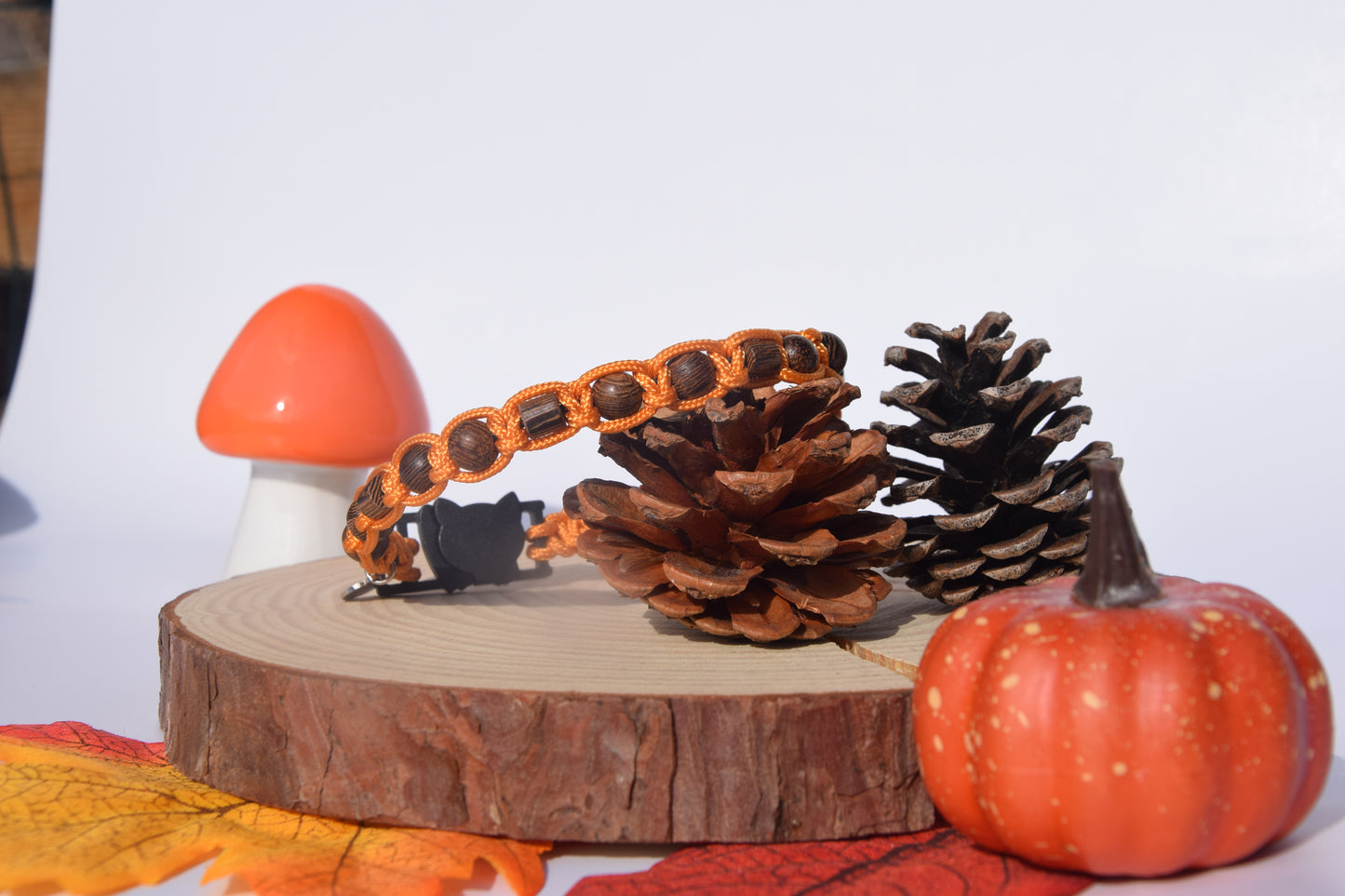 Collier Automne Chat 🐱